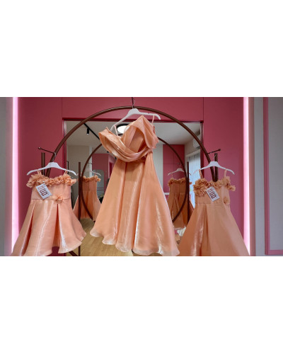The Organza Enchantment Dress For Kids