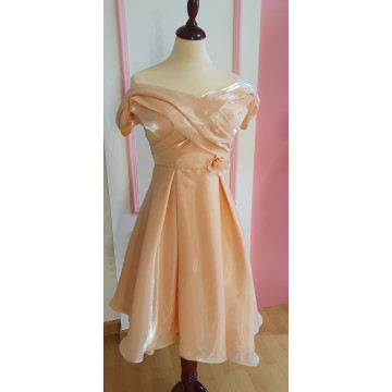 The Organza Enchantment Dress For Women