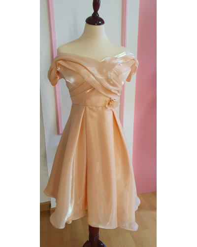 The Organza Enchantment Dress For Women