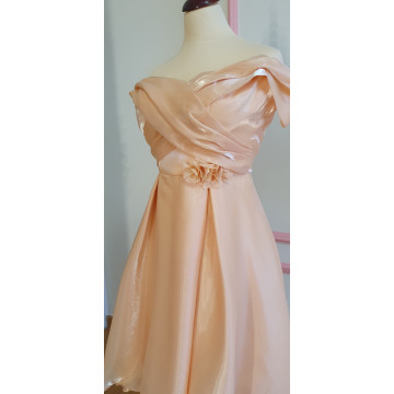 The Organza Enchantment Dress For Women