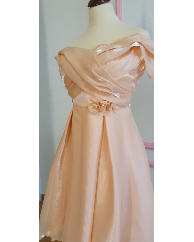 The Organza Enchantment Dress For Women