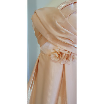 The Organza Enchantment Dress For Women
